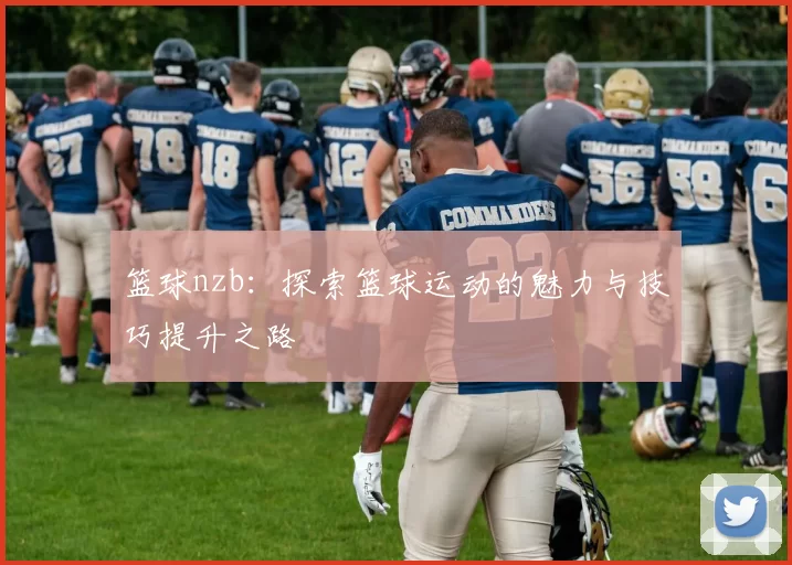 篮球nzb：探索篮球运动的魅力与技巧提升之路