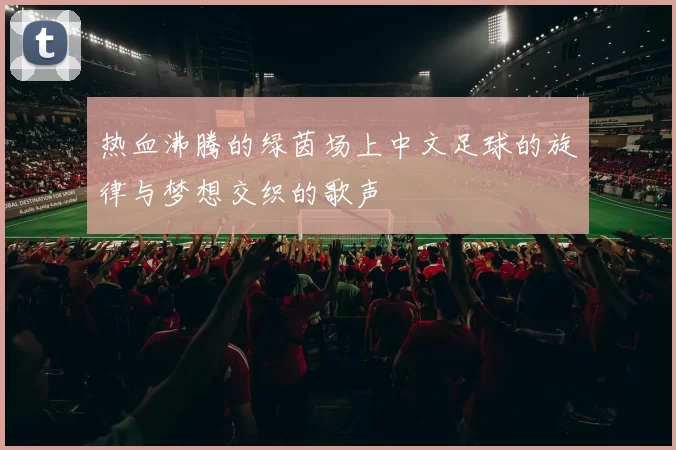 热血沸腾的绿茵场上中文足球的旋律与梦想交织的歌声
